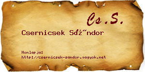Csernicsek Sándor névjegykártya